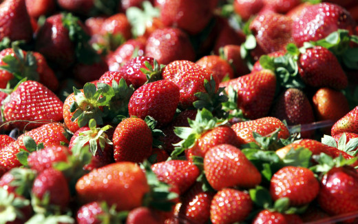 492670 (a): :2560x1600